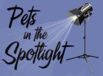 Pets in the Spotlight. Submit your pets story today!